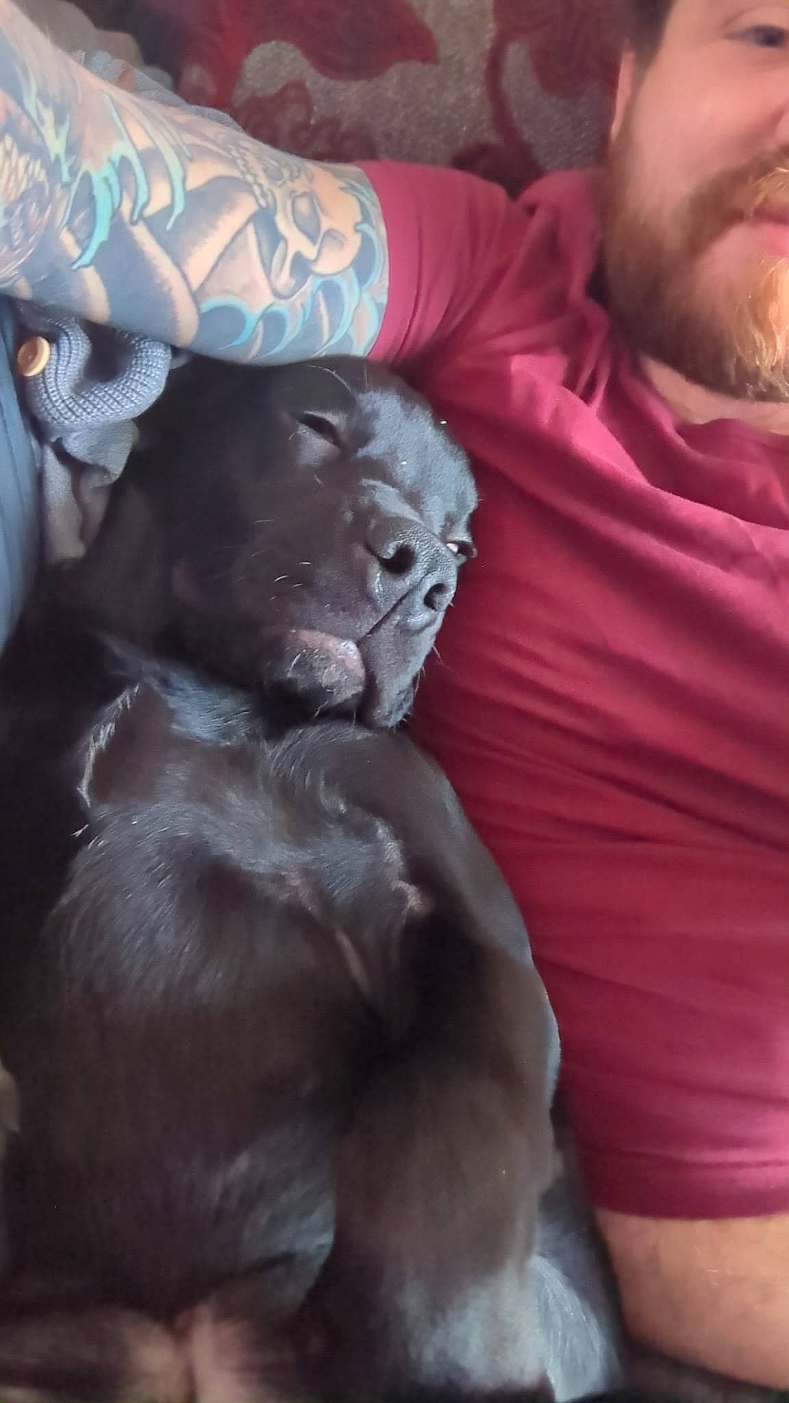 Buddy Awesome Mcphail