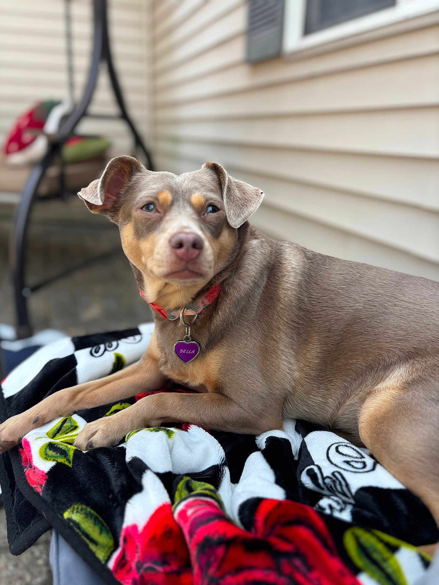 Bella