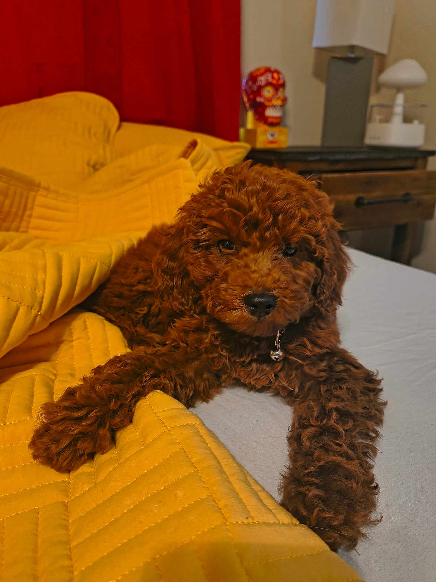 Roxy
