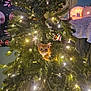 cat, christmas_tree, lights, indoor, decorations, orange_cat, holiday, greenery, festive, animal, pet, curious, cozy, ornament, twinkle_lights, holiday_decor, feline, home, celebration, nature