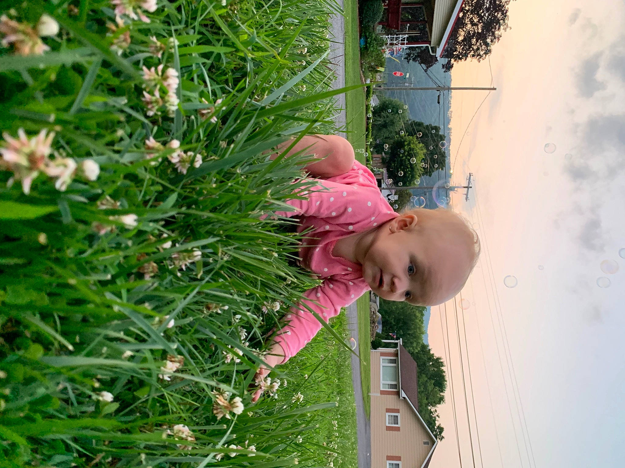 Tara joined the competition — help win amazing prizes! annual_plant, buddleia, conifer, evergreen, fir, flower, flowering_plant, fun, garden, grass, happy, leisure, people_in_nature, person, petal, plant, shrub, sky, toddler, tree