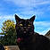 Binx