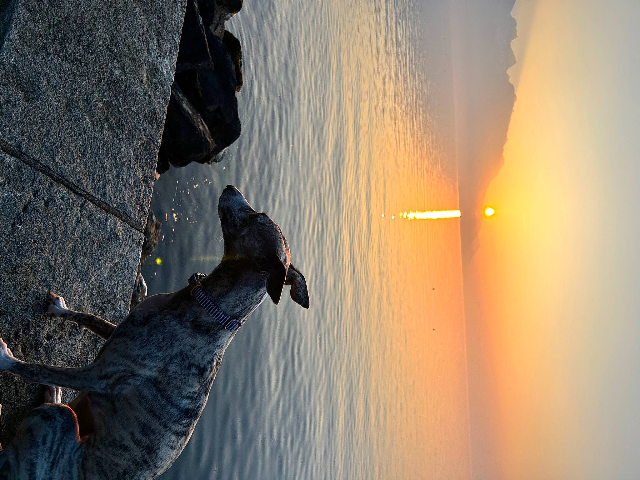 Saomy participe au concours pour gagner de l'argent avec cette photo : art, beak, bird, city, concrete, evening, horizon, lake, reflection, road_surface, rock, sculpture, shadow, sky, statue, tints_and_shades, tree, water, wing, wood