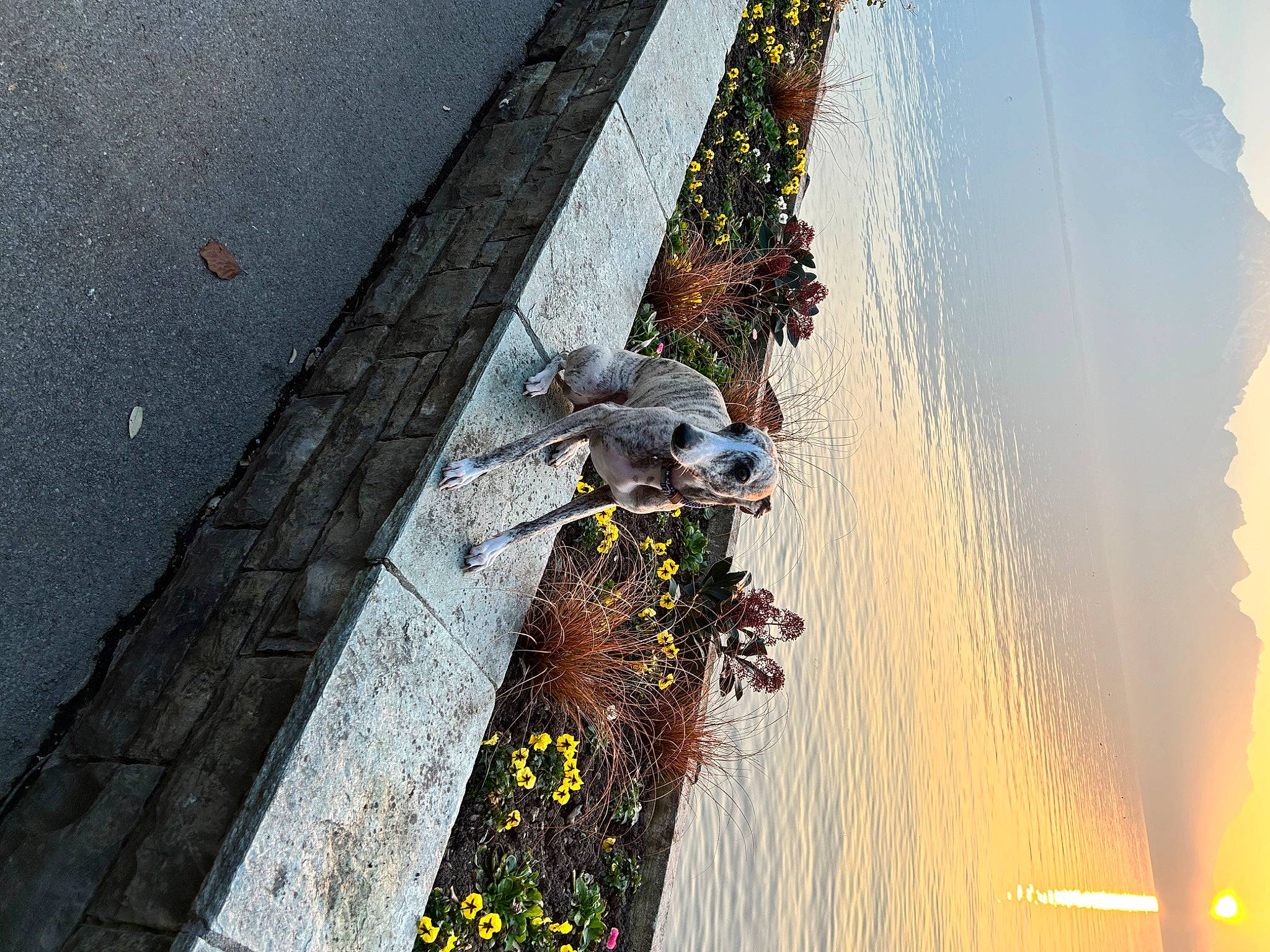 Saomy a rejoint le concours — aidez-le/la à gagner de superbes lots ! art, asphalt, concrete, curb, extreme_sport, facade, flower, landscape, leisure, plant, reflection, road, road_surface, shadow, sidewalk, street, street_light, tar, tree, water