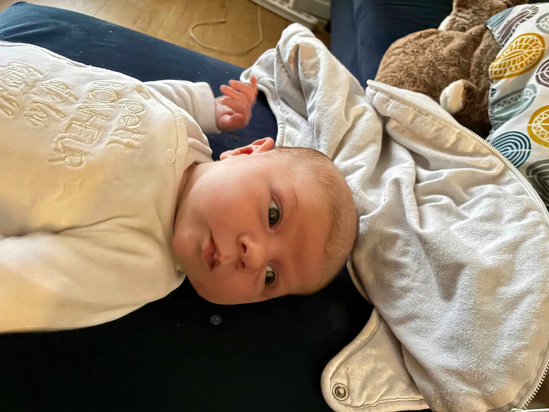 Eva participe au concours pour gagner de l'argent avec cette photo : baby, infant, blanket, soft_toy, pillow, clothing, face, head, person, home_interior, fabric, sleepwear, bedroom, comfort, lying_down, newborn, cute, peaceful, indoor, resting