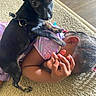 dog, child, carpet, black_dog, purple_shirt, braided_hair, beads, indoor, pet, playing, curious, small_dog, close_up, face_down, resting, hand, fur, floor, home, cute