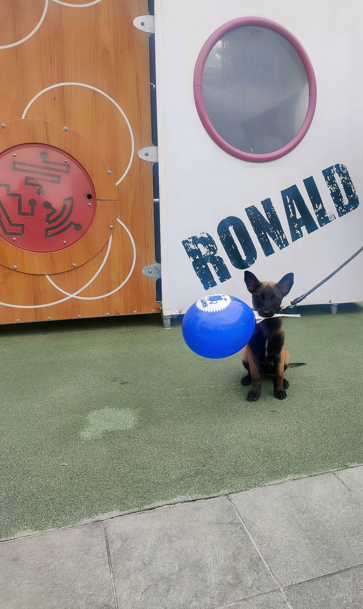 Xena a rejoint le concours — aidez-le/la à gagner de superbes lots ! advertising, art, asphalt, circle, design, electric_blue, flooring, font, gas, graphics, hat, logo, musical_instrument, paint, road_surface, shadow, signage, visual_arts, window, world