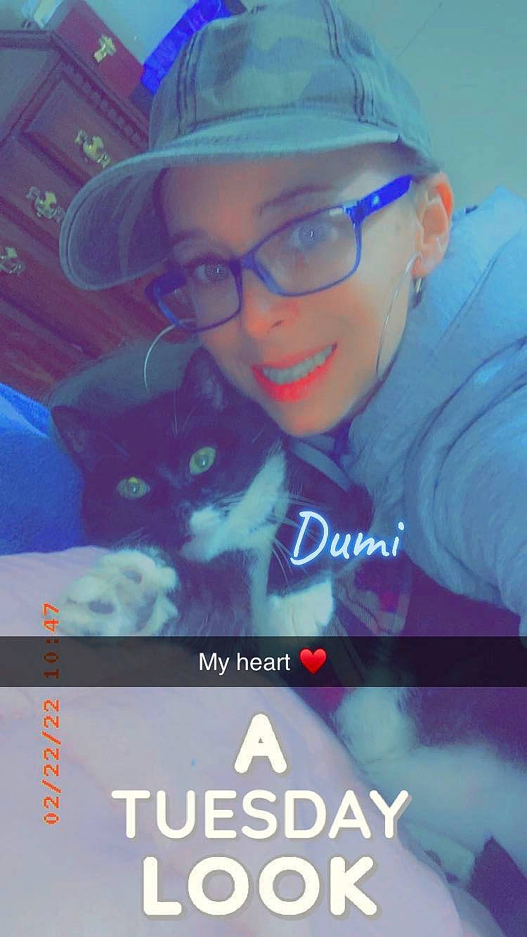 Dumie joined the competition — help win amazing prizes! blue, cap, carnivore, cat, cool, electric_blue, eyewear, facial_expression, felidae, font, glasses, happy, hat, photo_caption, small_to_medium_sized_cats, smile, sun_hat, sunglasses, vision_care, whiskers