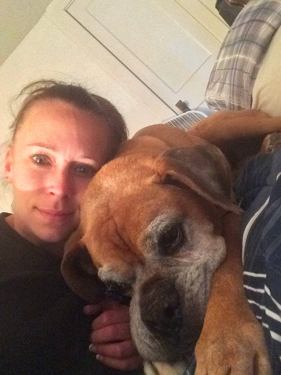 Ozzie is registered to the contest to win money with this photo: black_mouth_cur, boerboel, boxer, bullmastiff, canidae, carnivore, companion_dog, dog, dog_breed, ear, fawn, mammal, nose, puggle, puppy, puppy_love, rhodesian_ridgeback, selfie, snout