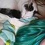 cat, sleeping, person, teal_hair, blanket, avocado_pattern, indoor, cozy, resting, closeup, white_cat, black_markings, bed, comfort, relaxation, human, animal, fur, nap, soft
