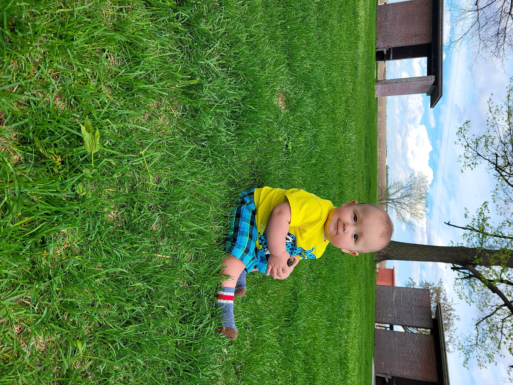 Darian joined the competition — help win amazing prizes! baby, baby_toddler_clothing, child, fun, grass, grass_family, grassland, green, groundcover, leaf, leisure, people_in_nature, person, plant, recreation, shrub, sky, toddler, tree, window