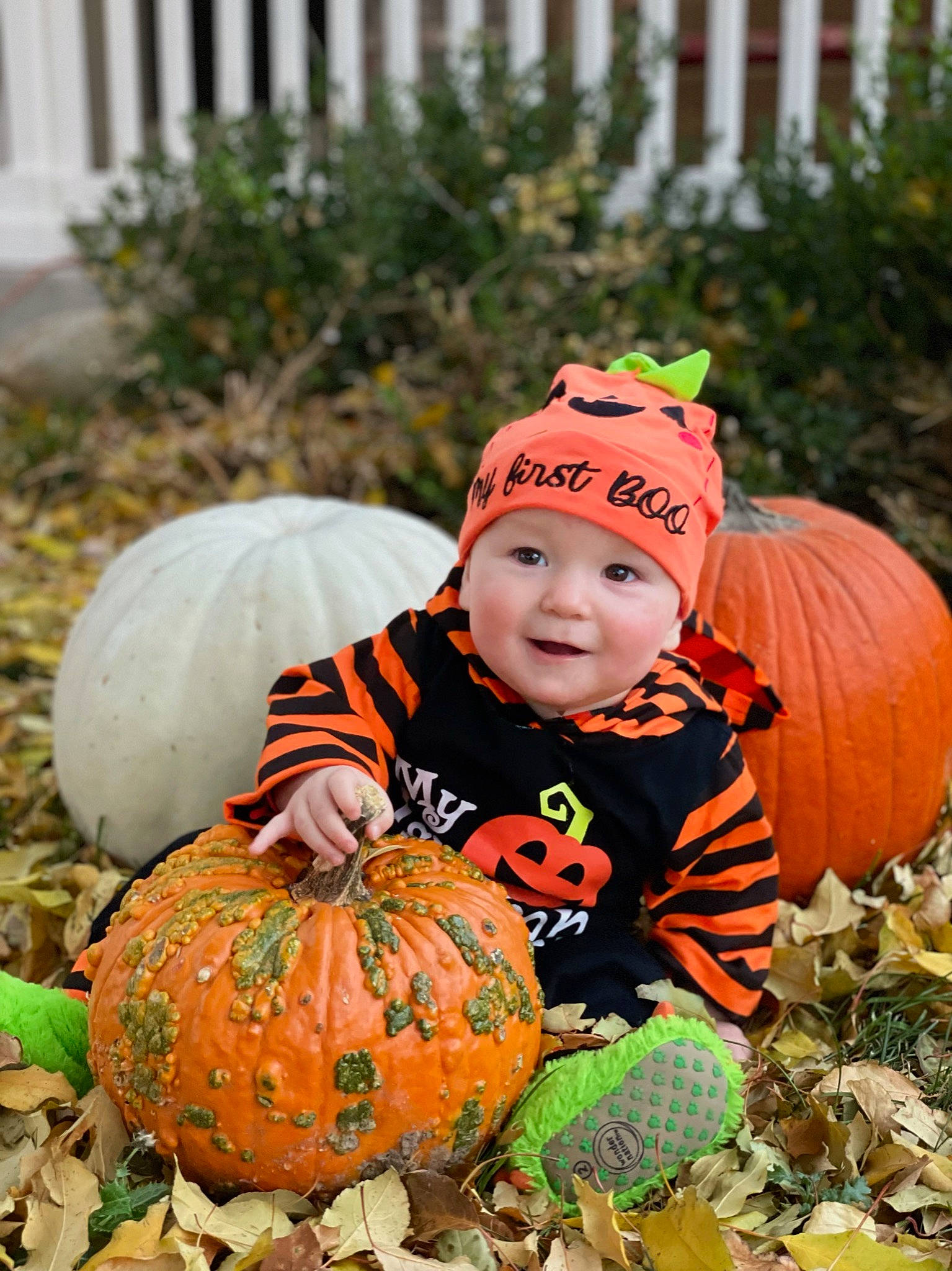 Kendrick is registered to the contest to win money with this photo: calabaza, cucurbita, eye, face, fence, fruit, gourd, headwear, human_body, jeans, leaf, natural_foods, orange, people_in_nature, person, plant, pumpkin, smile, squash, toddler
