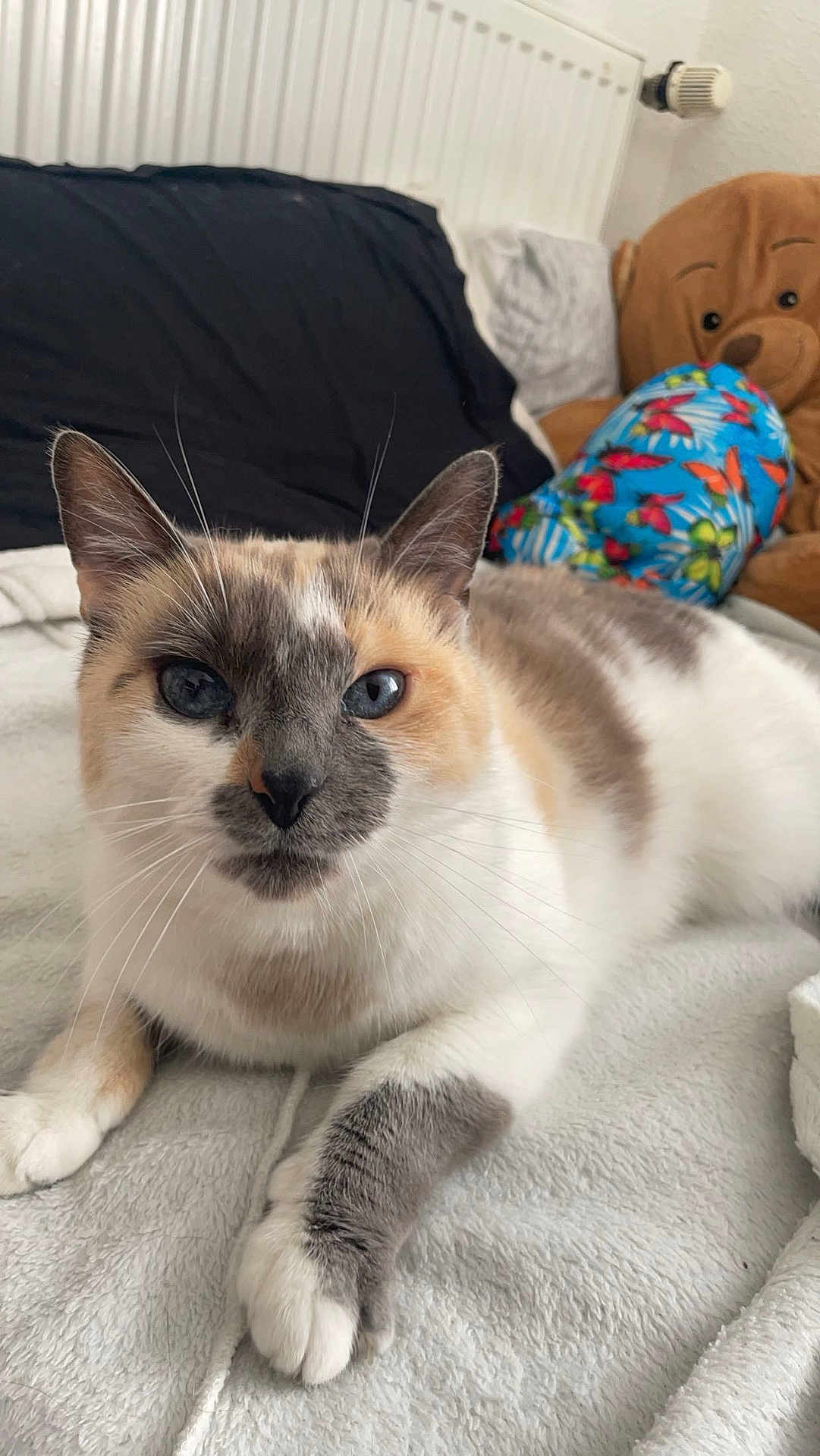 Artemis