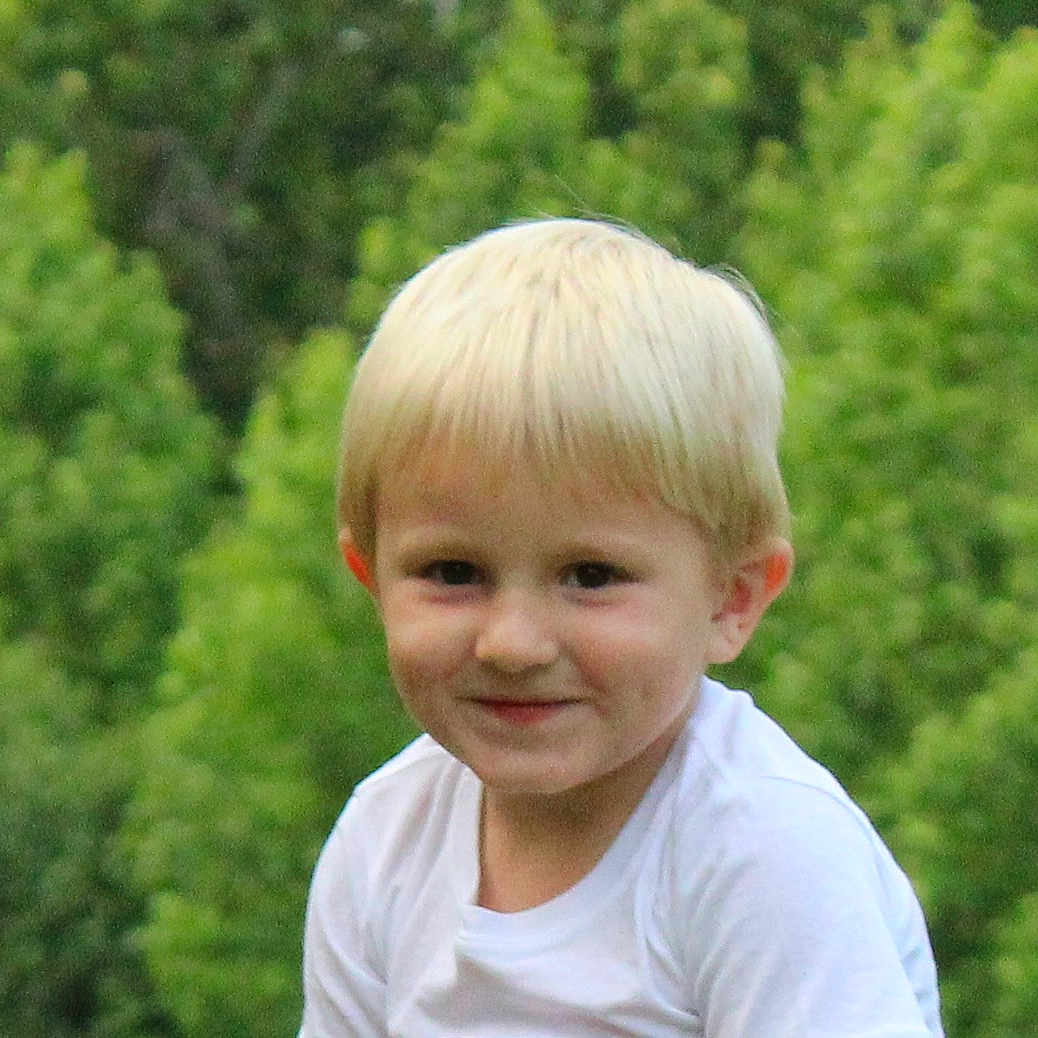 Bentley is registered to the contest to win money with this photo: background, blond_hair, boy, casual_clothing, child, cute, daylight, face, greenery, happy, innocent, nature, outdoor, person, portrait, smile, tree, white_shirt, young_child, young_person