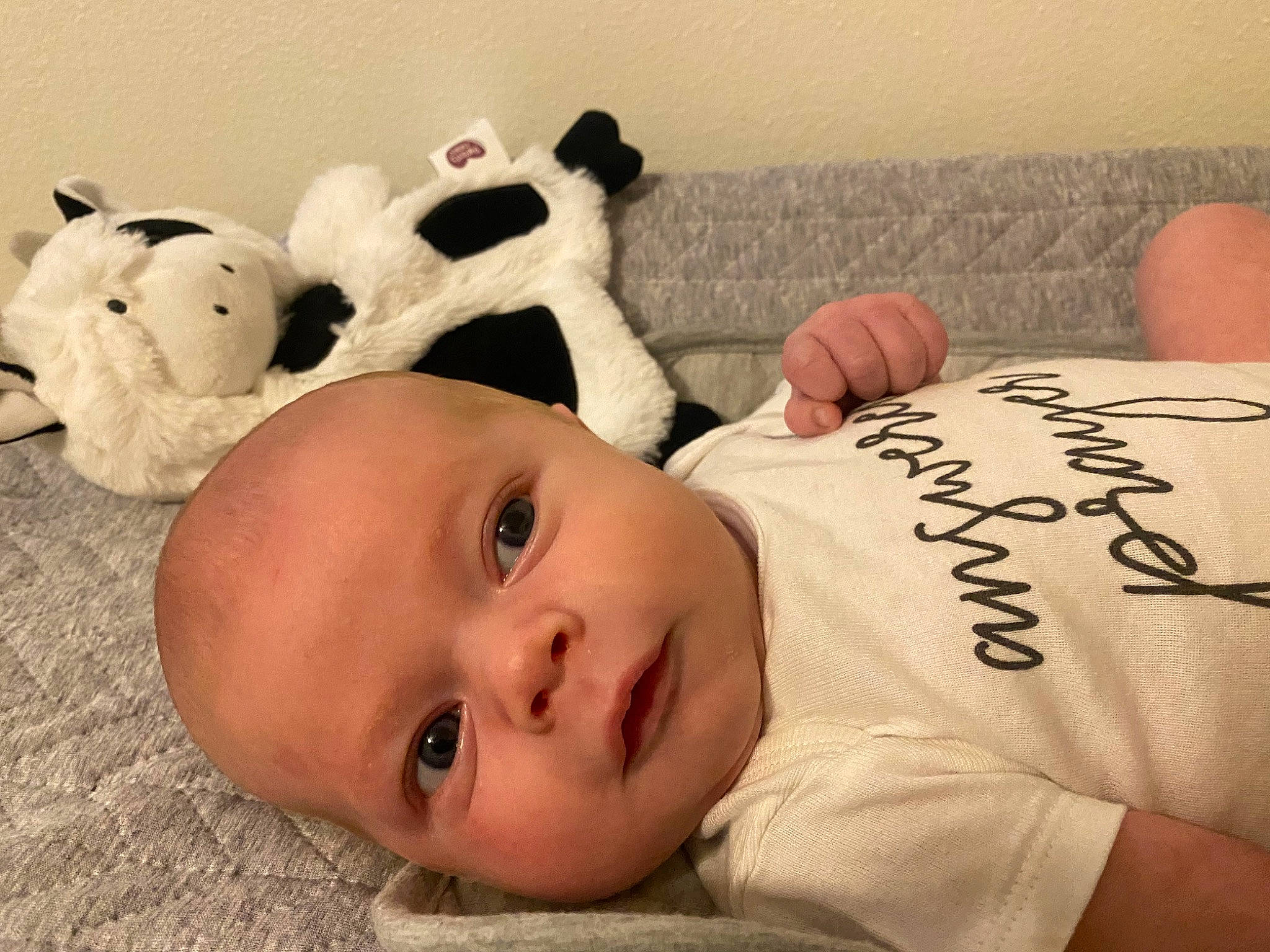 Benjamin joined the competition — help win amazing prizes! baby, baby_sleeping, baby_toddler_clothing, bed, bedding, cheek, comfort, eyelash, fur, happy, linens, mammal, nose, person, room, skin, sleeve, stuffed_toy, textile, toddler