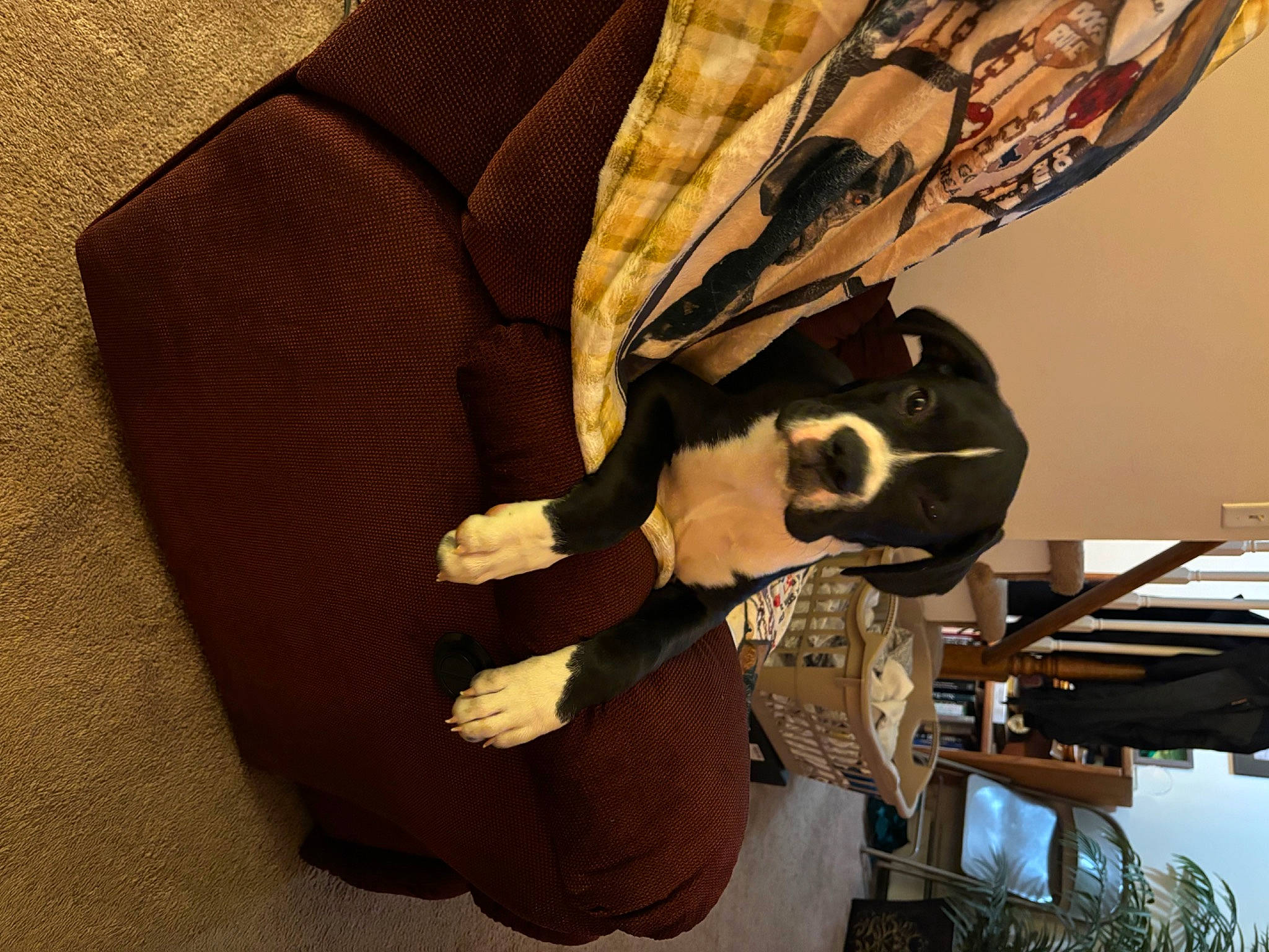 Odin is registered to the contest to win money with this photo: art, auto_part, bag, elbow, eyewear, fashion_accessory, glove, hat, helmet, human_leg, military_camouflage, pattern, personal_protective_equipment, room, sports_gear, visual_arts, wood