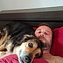 man, dog, bed, pillow, blanket, indoor, resting, lying_down, pet, canine, comfort, relaxation, red_bedding, head, face, fur, nose, close_up, domestic_animal, human