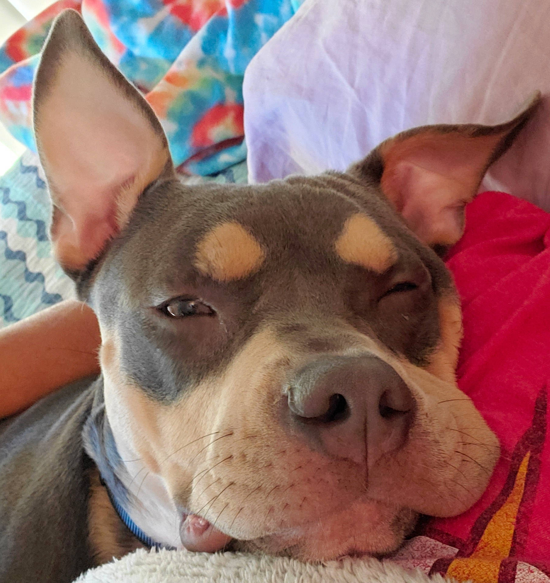 Diego