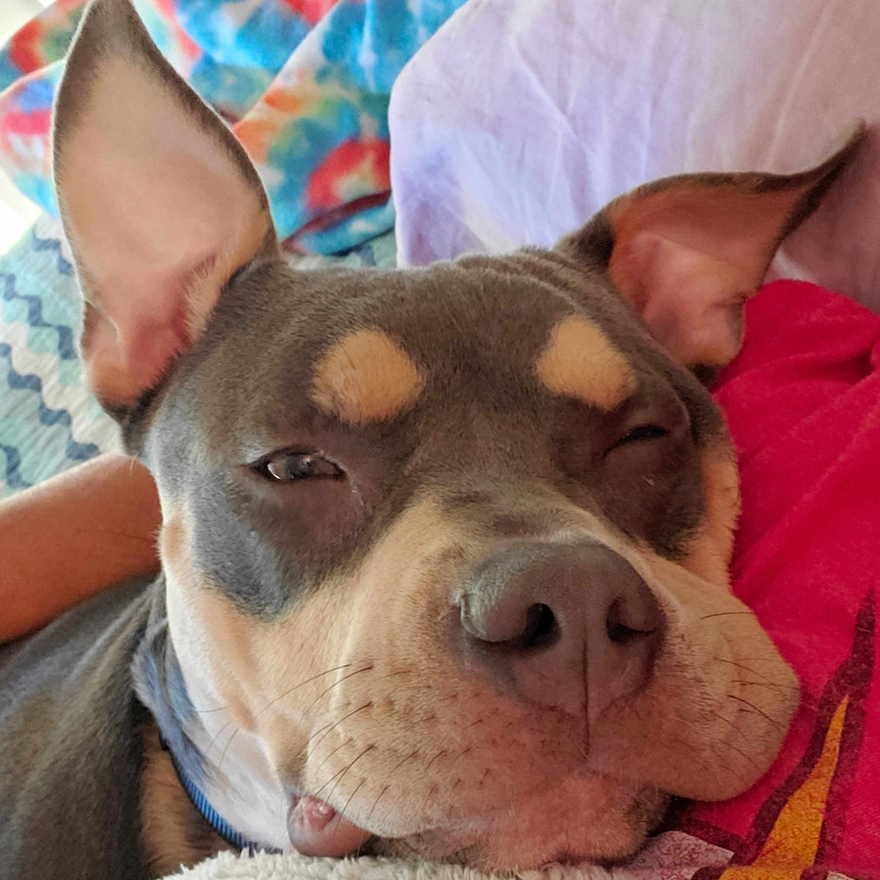 Diego