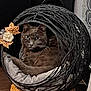 cat, gray_cat, wicker_bed, cat_bed, decorative_leaves, flower, woven_base, indoor, floor, striped_rug, patterned_wallpaper, cozy, pet, feline, resting, curious, animal, domestic, home_decor, furniture