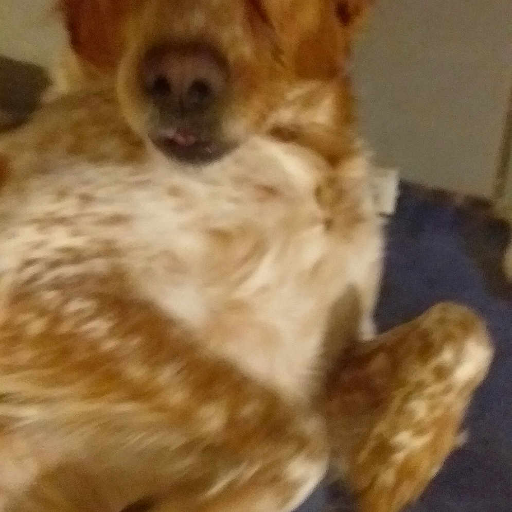 Mimie