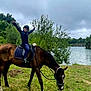 Enzo participe au concours pour gagner de l'argent avec cette photo : adventure, animal, animal_tack, boy, child, cloudy_sky, field, forest, grass, greenery, happy, helmet, horse, lake, nature, outdoor, person, riding, trees, water