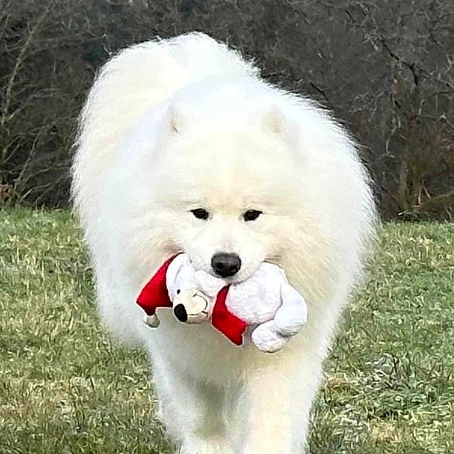 Baïkal