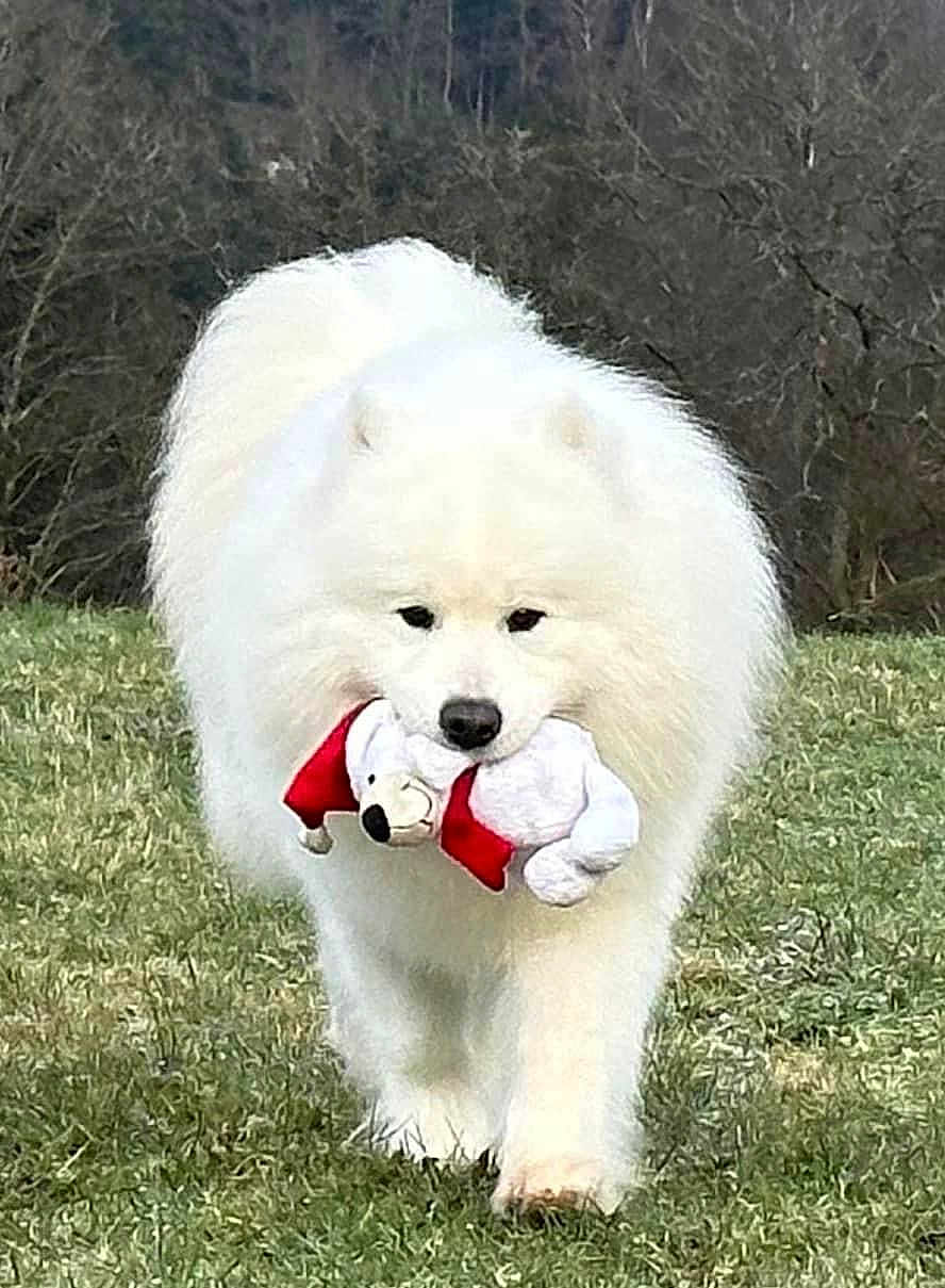 Baïkal