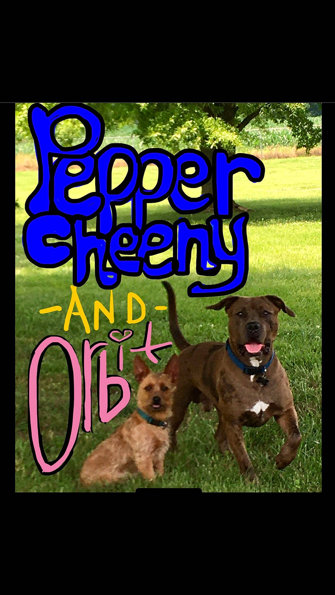 Pepper Ron Cheeny joined the competition — help win amazing prizes! advertising, canidae, carnivore, collar, companion_dog, dog, dog_breed, fawn, font, grass, happy, liver, logo, photo_caption, plant, poster, snout, tail, tree, working_animal