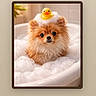 dog, pomeranian, bathtub, bubbles, rubber_duck, cute, pet, fur, water, bath_time, animal, small_dog, fluffy, bubble_bath, indoors, companion, adorable, relaxation, playful, clean