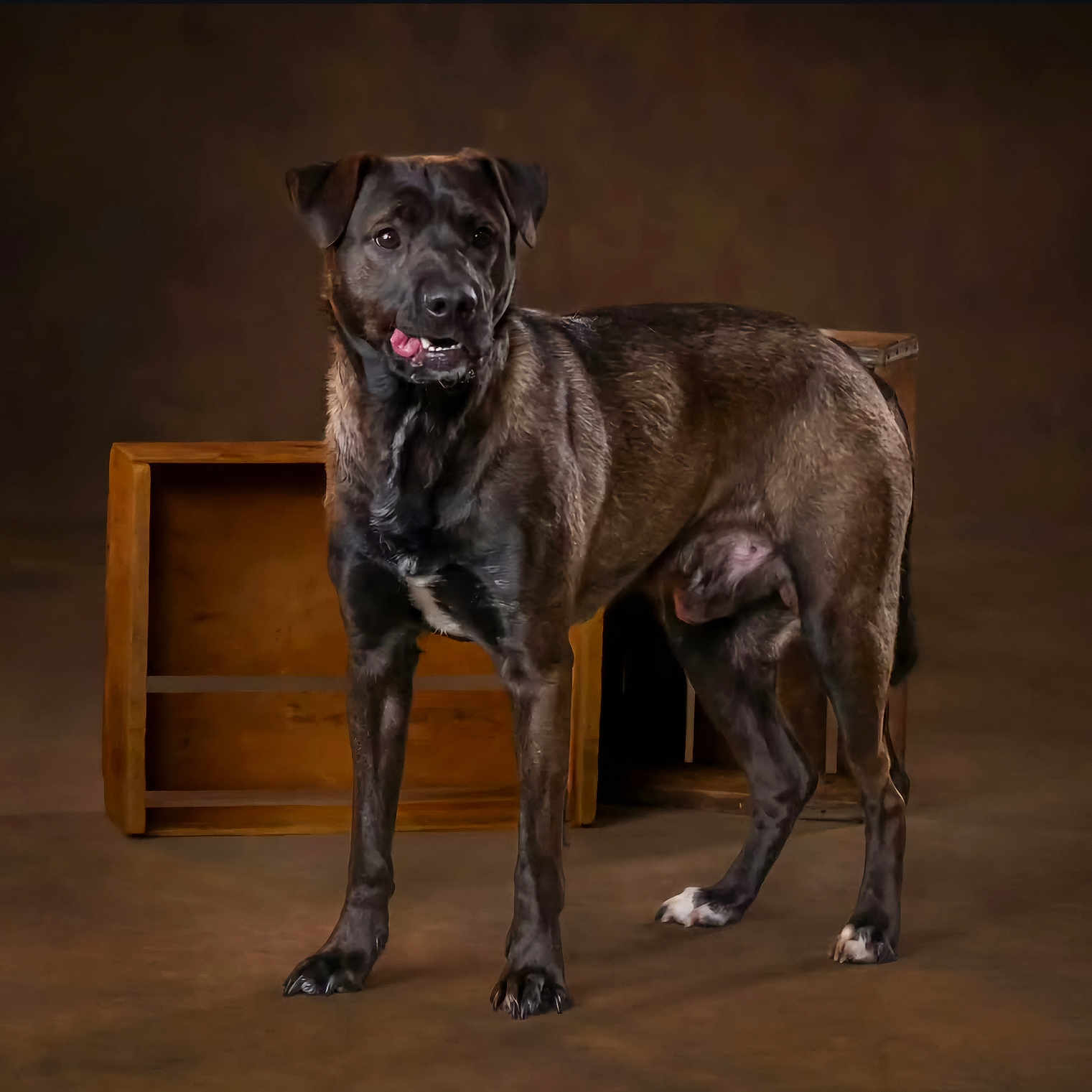 Duke