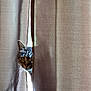 cat, tabby, curious, peeking, curtain, indoor, whiskers, light, shadow, beige, playful, animal, pet, face, closeup, feline, cozy, window, soft, texture