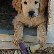 Tucker is registered to the contest to win money with this photo: