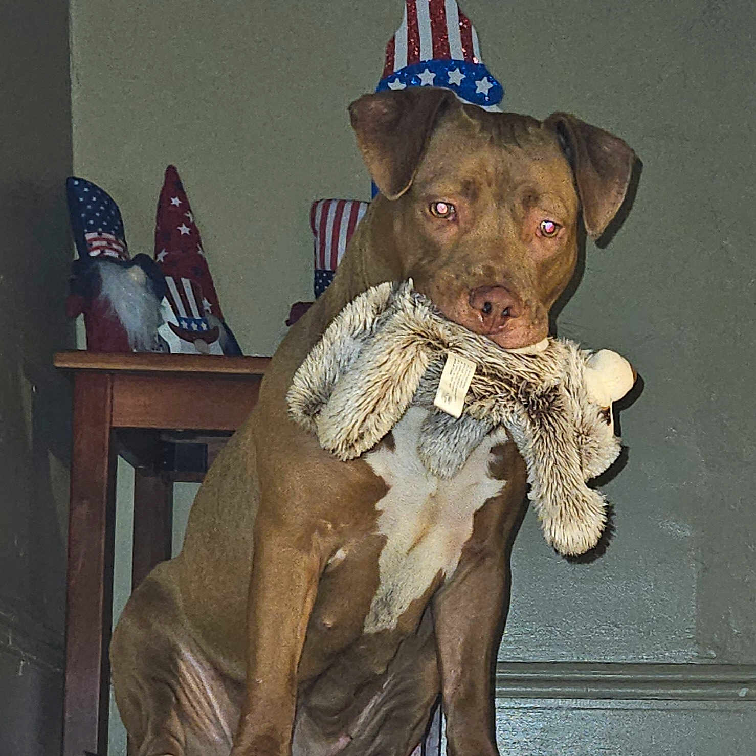 Coco