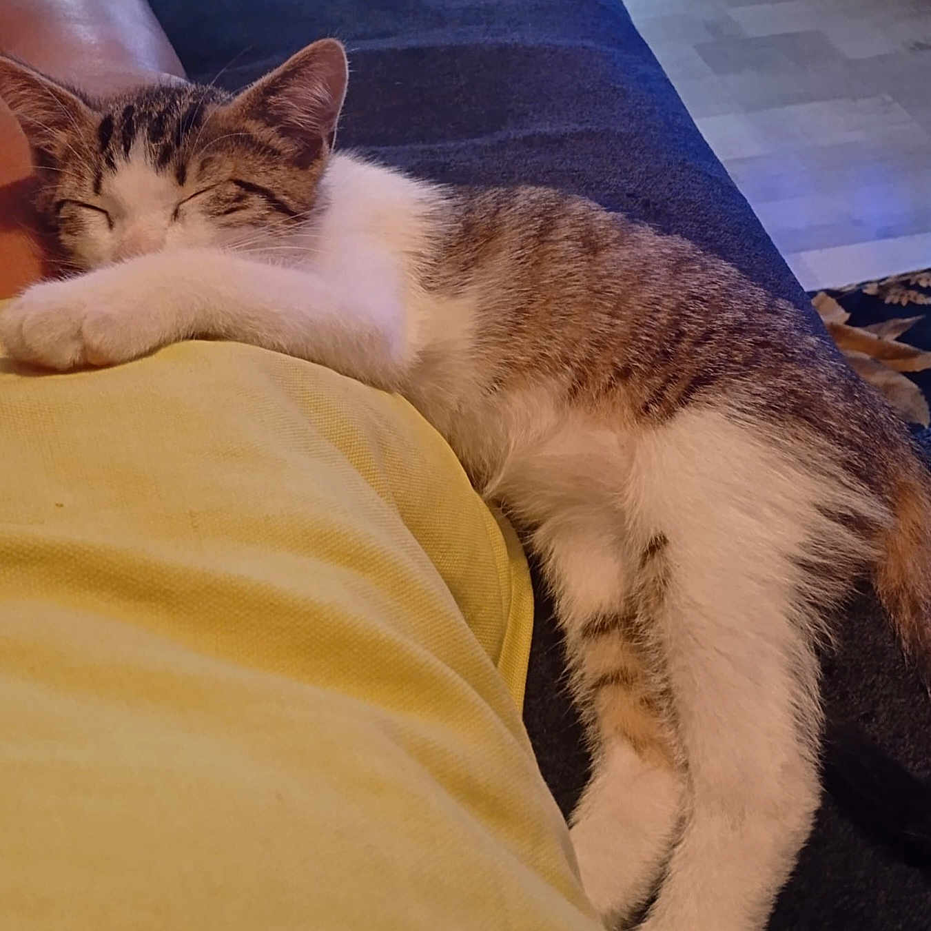 Milo