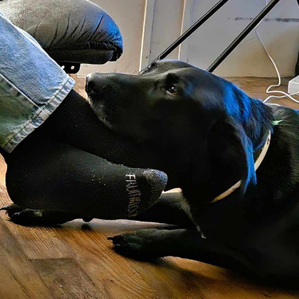 Diesel