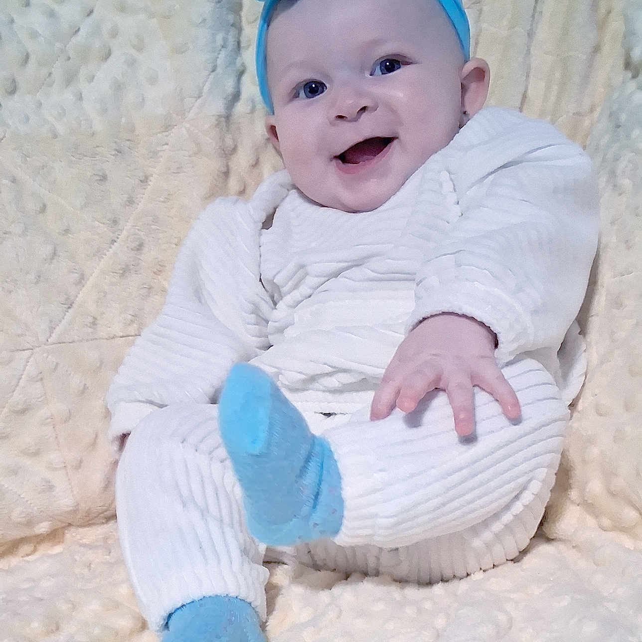 Haidyn