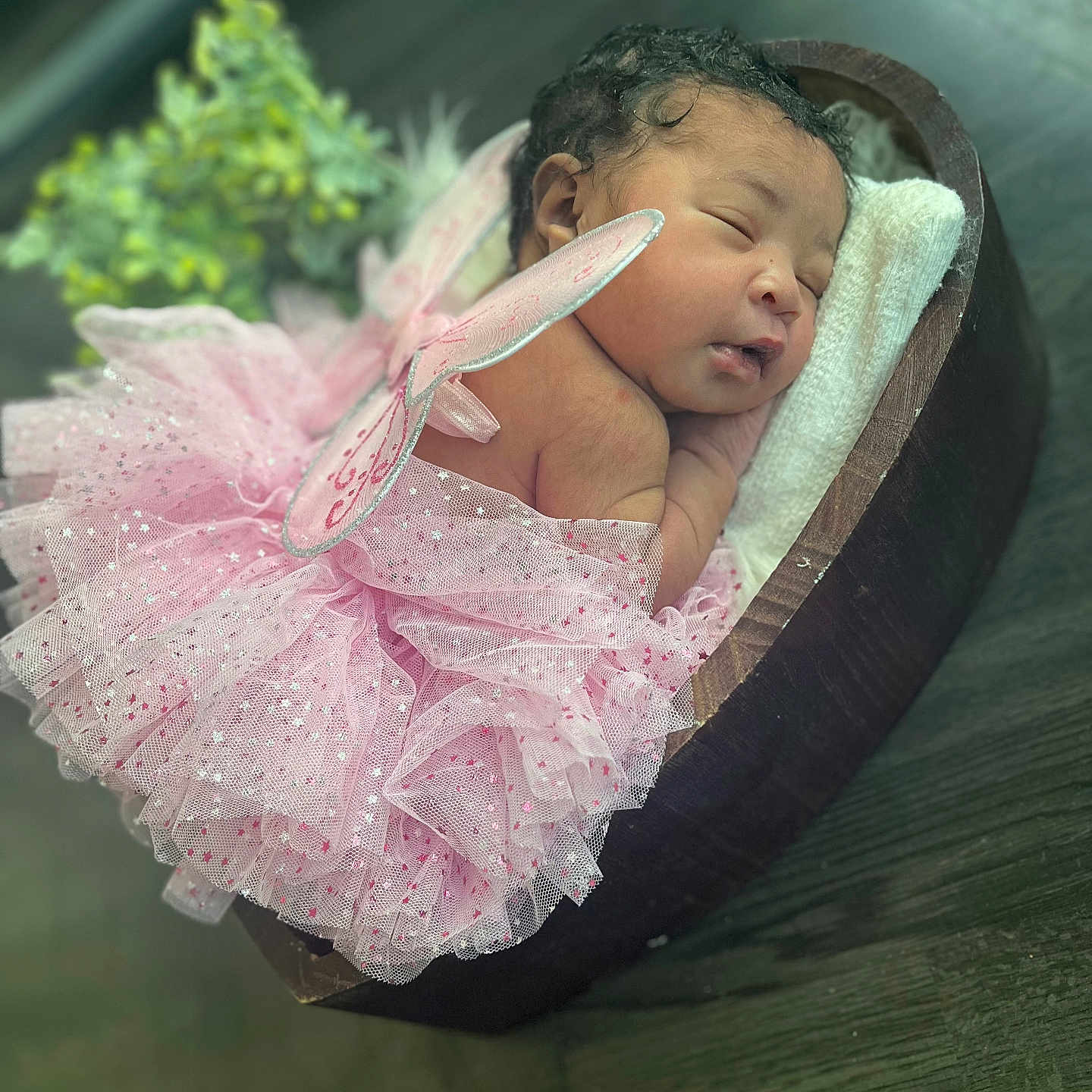 Skiilynn joined the competition — help win amazing prizes! baby, costume, curly_hair, cushion, cute, face, fairy_wings, floor, greenery, indoors, infant, newborn, peaceful, pink_tutu, portrait, resting, sleeping, soft_lighting, tulle, wooden_bowl