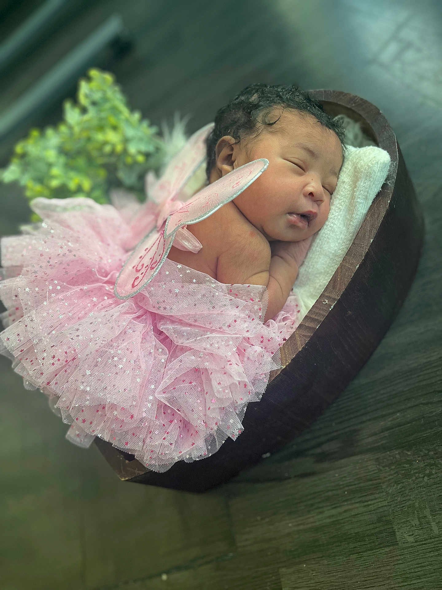 Skiilynn joined the competition — help win amazing prizes! baby, newborn, sleeping, infant, pink_tutu, fairy_wings, wooden_bowl, cushion, curly_hair, face, peaceful, portrait, indoors, soft_lighting, greenery, floor, cute, costume, tulle, resting