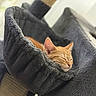 cat, kitten, sleeping, nap, cat_tree, plush, gray, orange_cat, indoor, pet, feline, cozy, relaxed, fur, animal, resting, household, cute, comfort, soft