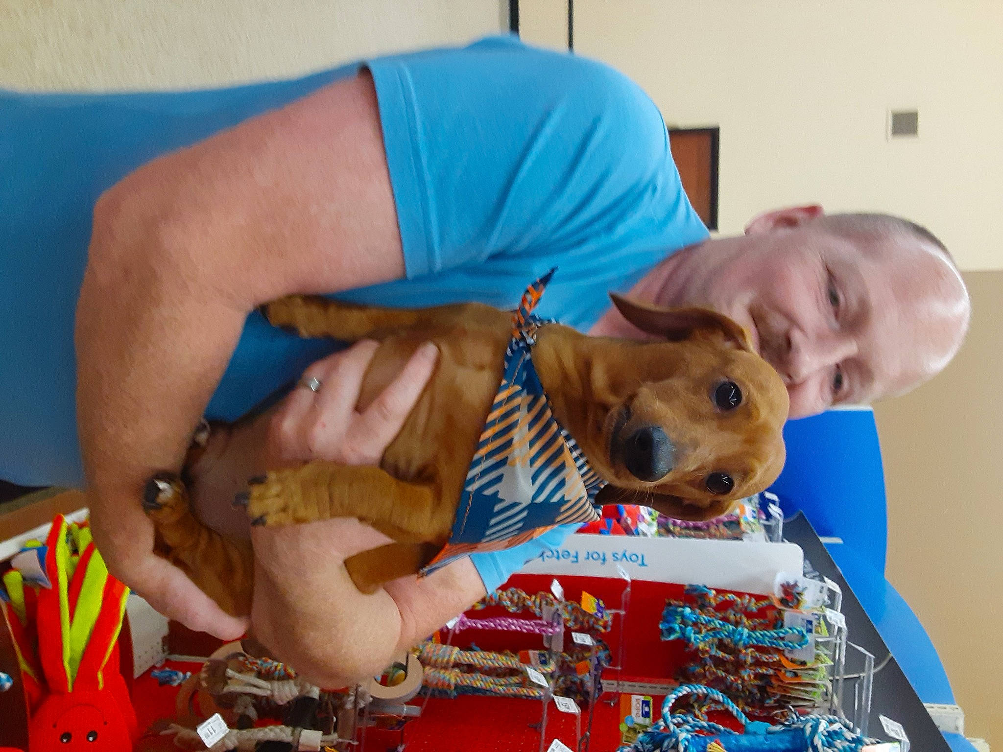 Hershey joined the competition — help win amazing prizes! abdomen, blue, canidae, child, companion_dog, event, fawn, fun, fur, junk_food, leisure, play, room, stuffed_toy, teddy_bear, toy, vacation