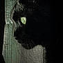 cat, black_cat, green_eyes, close_up, profile, side_view, whiskers, fur, indoor, curtain, texture, shadow, moody, portrait, animal, pet, feline, mystery, soft_light, detail