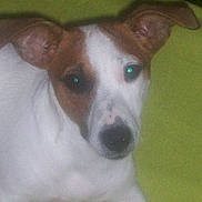 Iris participe au concours pour gagner de l'argent avec cette photo :