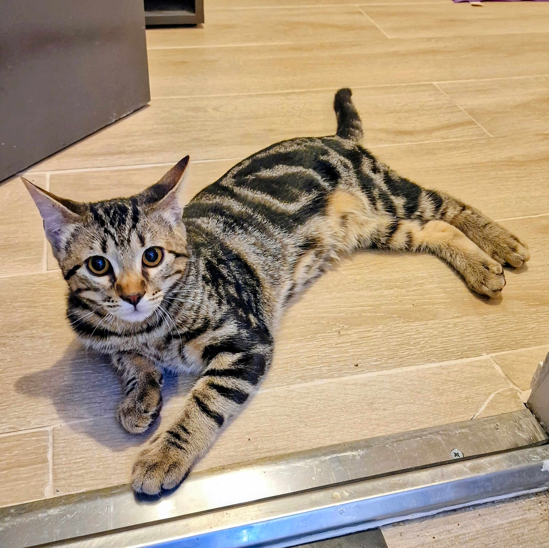 Tigrou