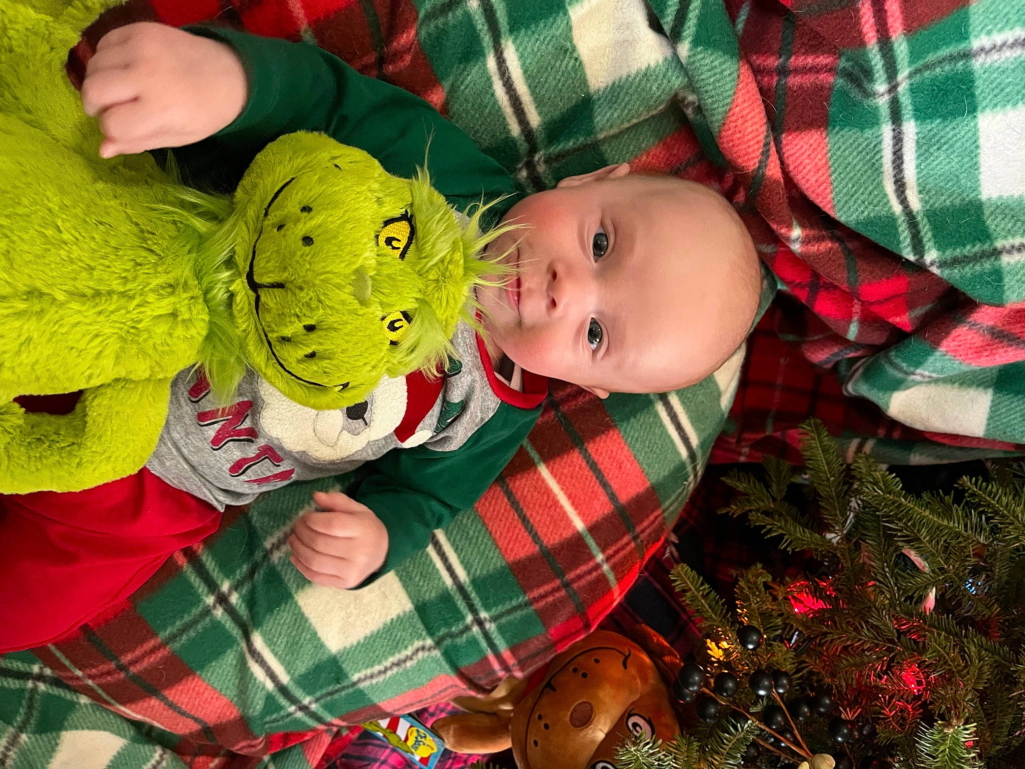 Harrison is registered to the contest to win money with this photo: baby, baby_toddler_clothing, child, christmas_tree, conifer, event, grass, green, happy, head, holiday, leaf, pattern, person, plaid, red, smile, tartan, textile, toddler