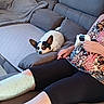 blanket, casual, comfort, couch, dog, game_controller, gray_couch, indoors, leggings, leisure, living_room, patterned_shirt, person, pet, pillow, relaxing, remote_control, resting_dog, seated, small_dog
