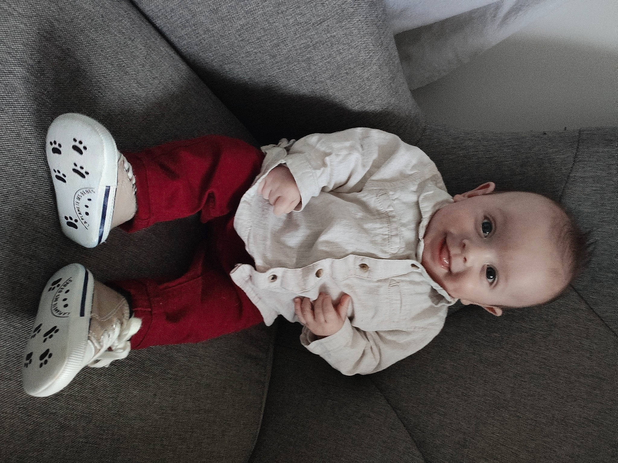 Nolan participe au concours pour gagner de l'argent avec cette photo : baby, baby_products, baby_toddler_clothing, carmine, cheek, child, comfort, grey, headgear, human_leg, joy, mammal, outdoor_shoe, person, product, sitting, sleeve, sock, toddler, tree