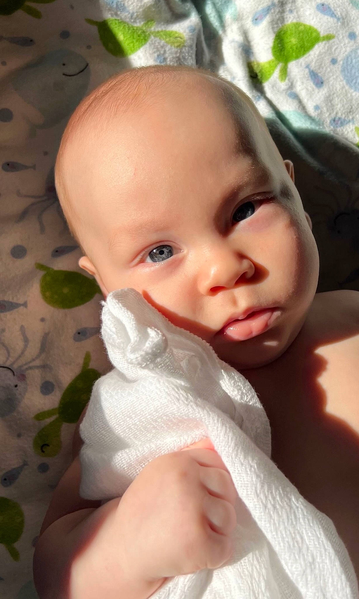 Korbin joined the competition — help win amazing prizes! baby, baby_toddler_clothing, cheek, child, chin, dress, ear, eye, eyebrow, eyelash, finger, grass, happy, human_body, iris, lip, nail, nose, person, skin