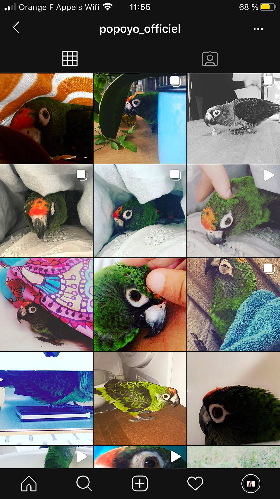 Popoyo a rejoint le concours — aidez-le/la à gagner de superbes lots ! fashion_accessory, finger, photography