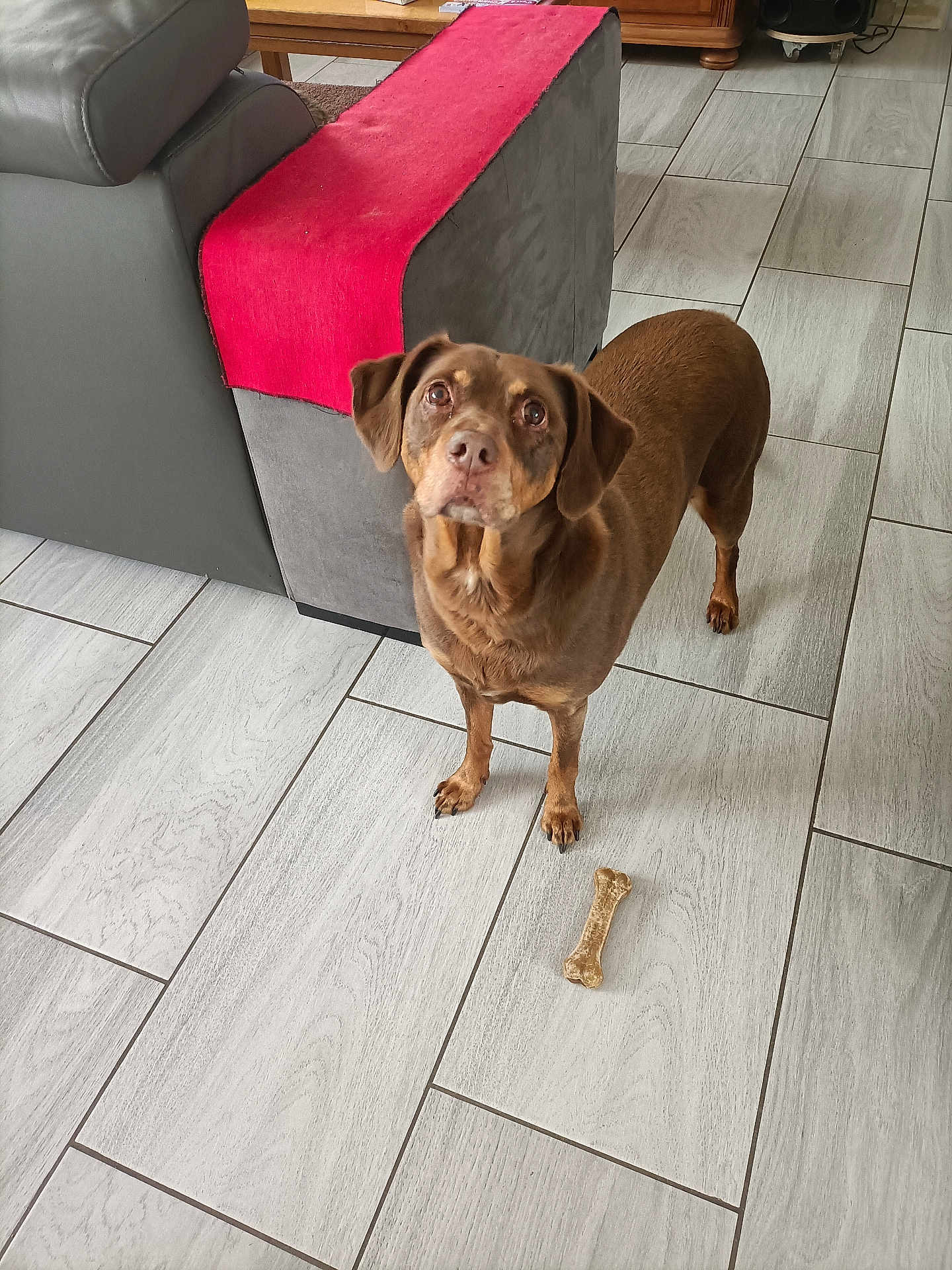 Praline